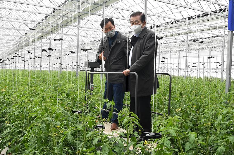 강화군_토마토연구회_청년농업인_전문기술교육_현장_확인_(9)