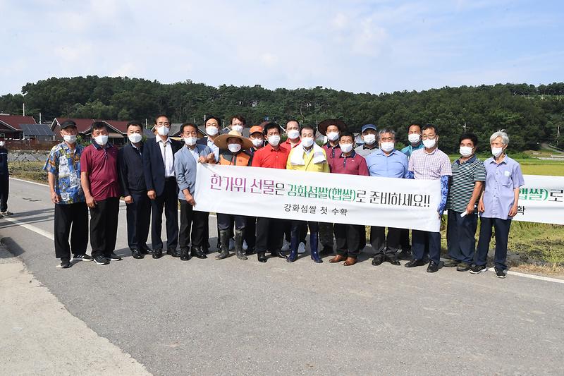 강화섬쌀_첫_수확_(11)