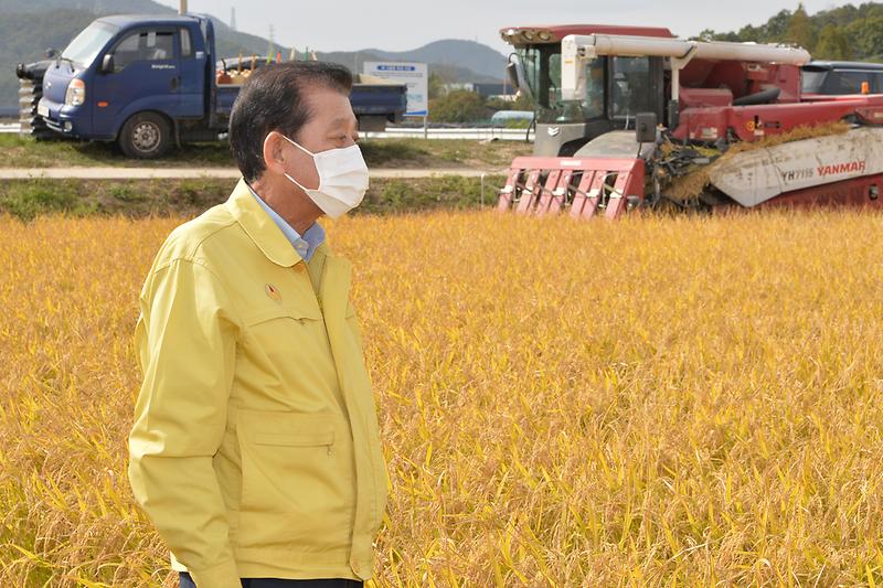 강화섬쌀_수확현장_(1)