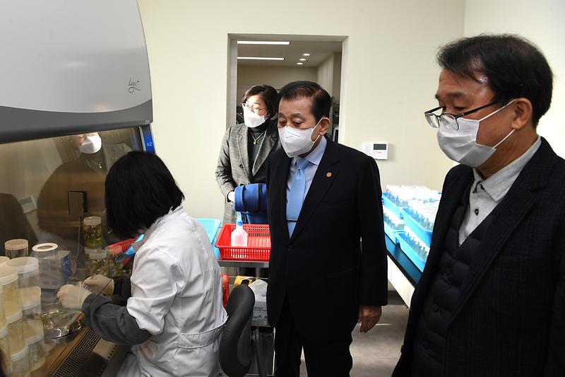 강화속노랑고구마_무병묘_조직배양실_현장확인_(2)