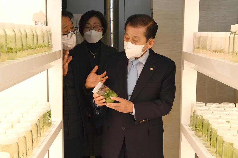 강화속노랑고구마_무병묘_조직배양실_현장확인_(5)