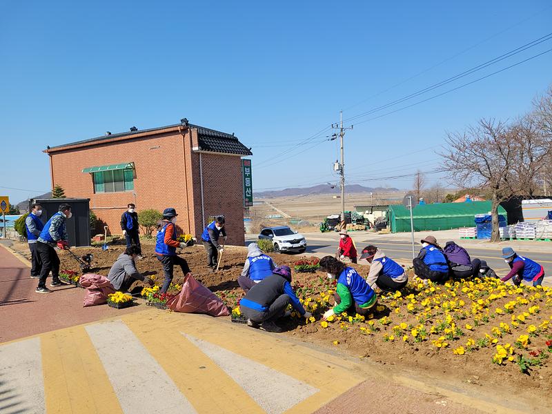 교동면_바르게살기위원회_꽃길조성