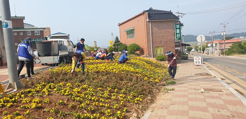 교동면_화단_제초