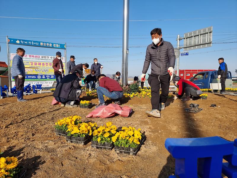 교동면_이장단_봄꽃_식재