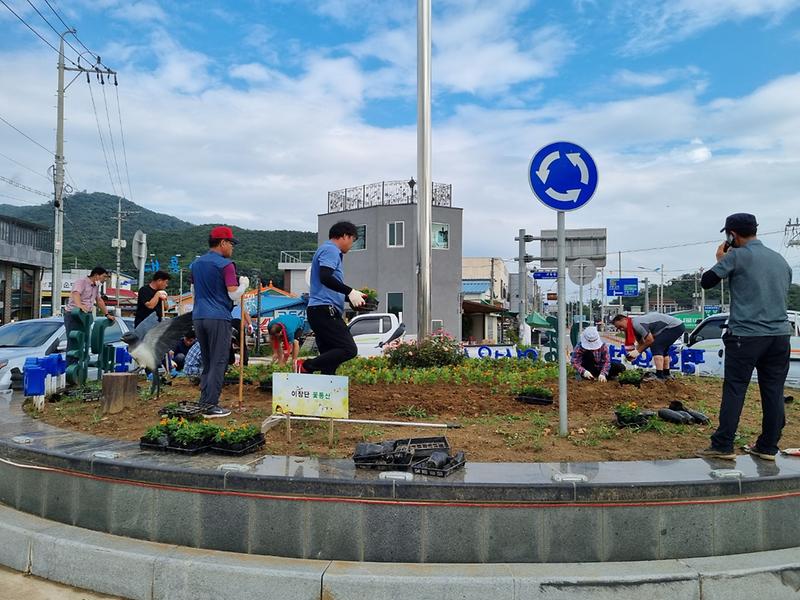 교동면_이장단_등_여름꽃_식재