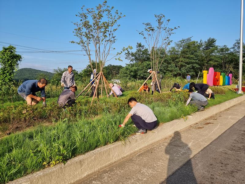 교동면_이장단_제초