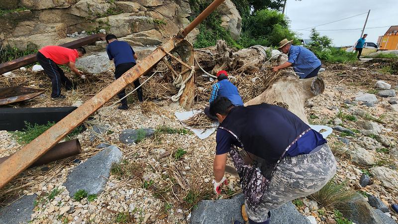 교동면_이장단_나들길_청소