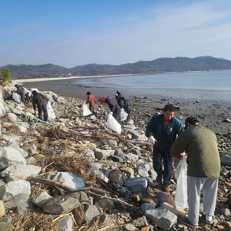 교동면_자율방범대_해안가_정화