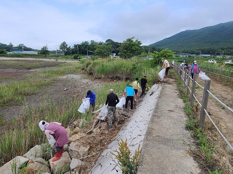 교동면_주민자치위원회_환경정화