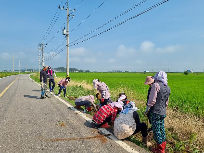 교동면_주민자치위원회_꽃동산_관리