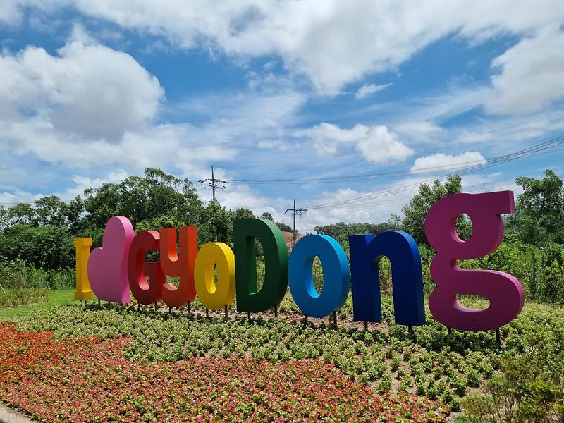 교동면_꽃동산_조성