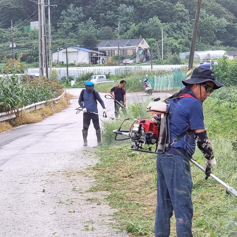 교동면_마을_정화_활동