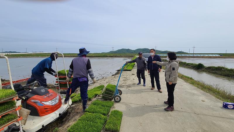 교동면_모내기_현장격려