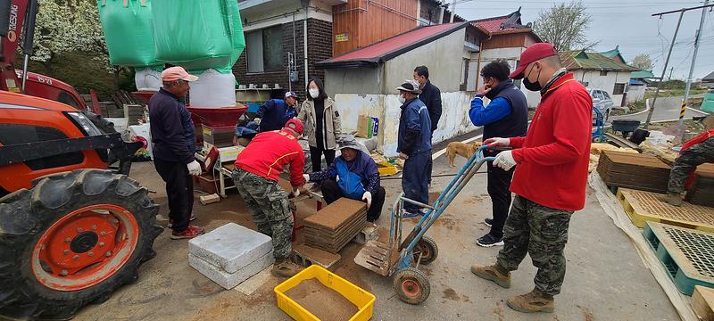 교동면_못자리_현장방문