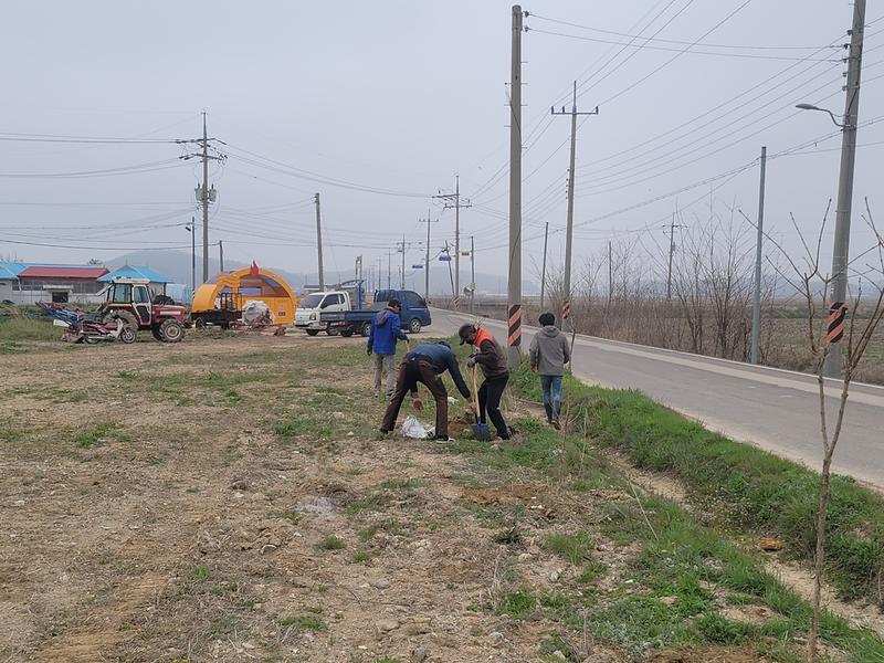 교동면_무학리_정비활동