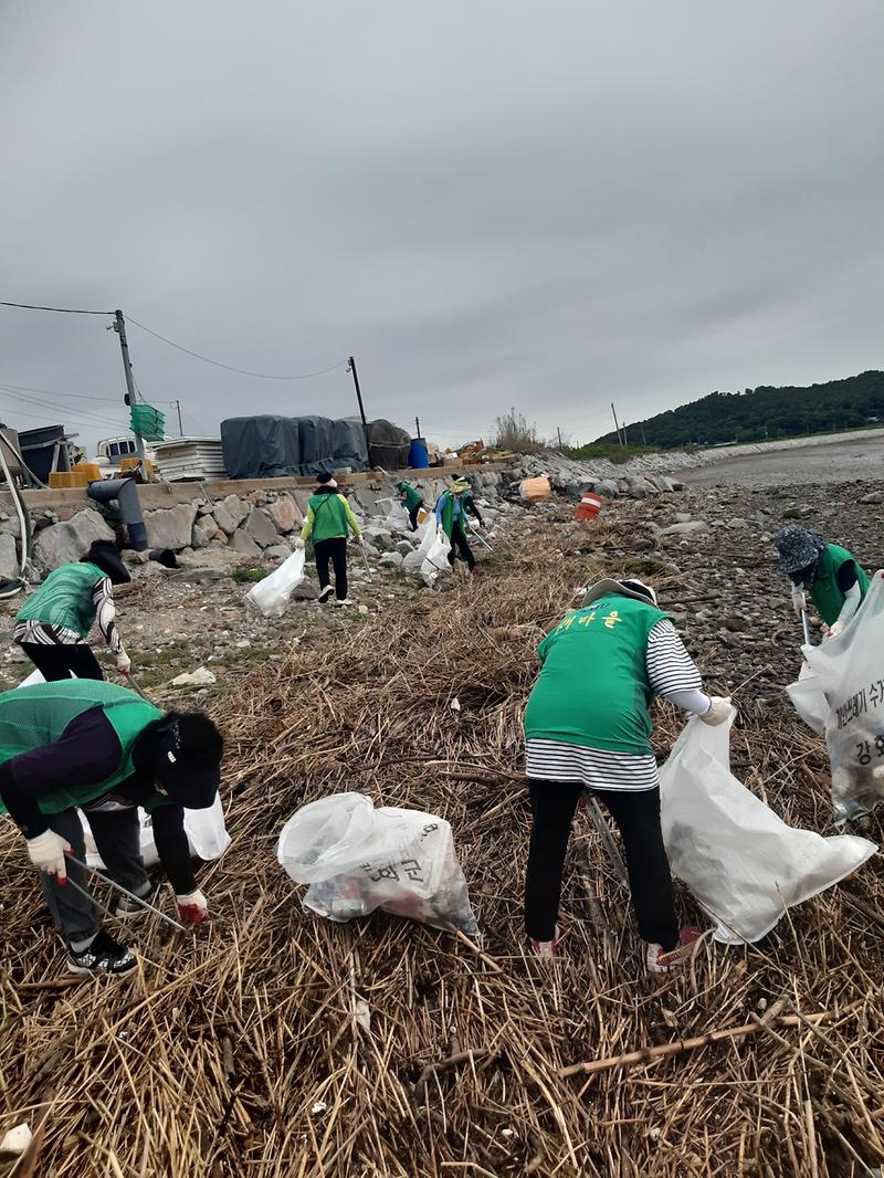 교동면_새마을부녀회_해안가_정비