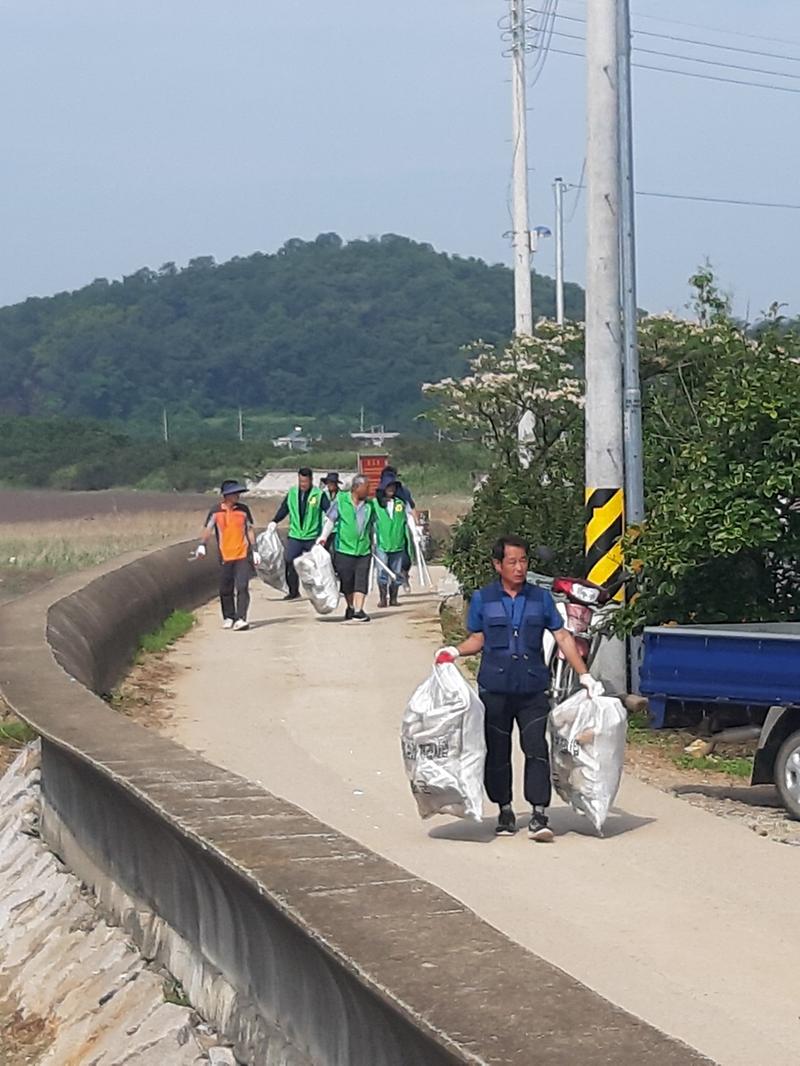 교동면_새마을지도자_해안가_정비