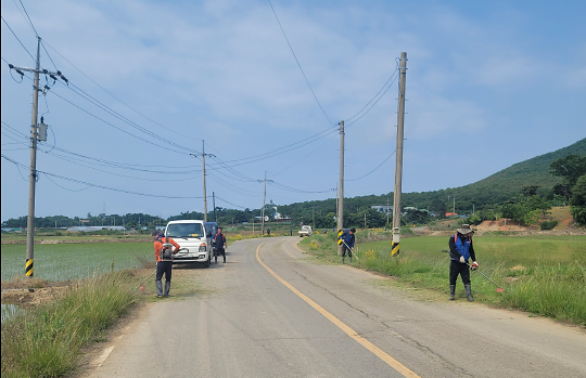 교동면_새마을지도자_제초