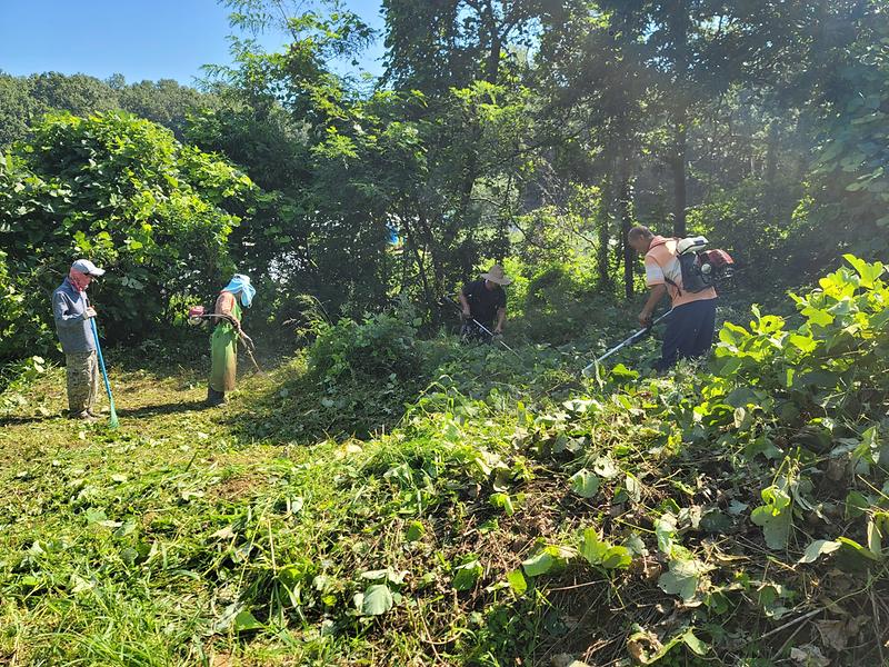 교동면_성묘종합대책_추진