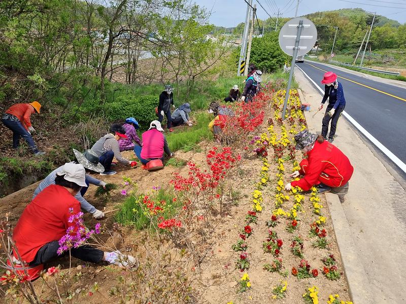 교동면_여성예비군_제초작업
