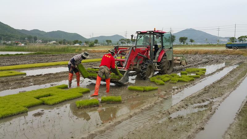 해병대_대민지원_(1)