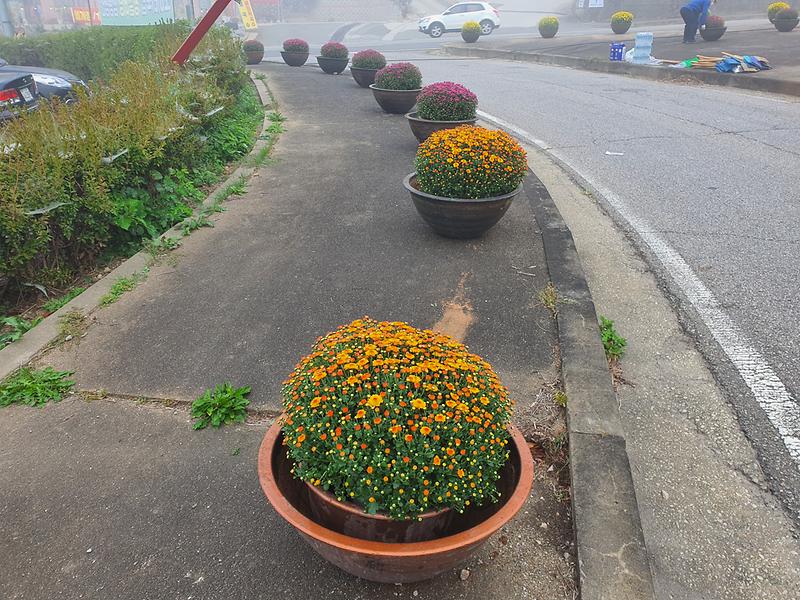 행정동우회_활동_(1)