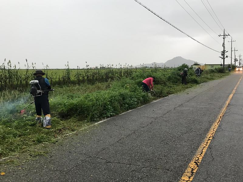 하점면_도로변_제초작업