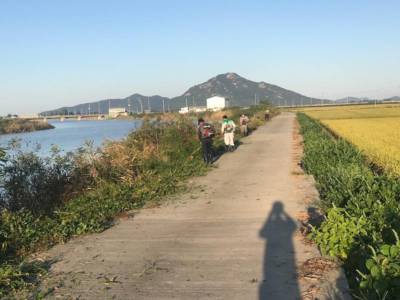 하점면_새마을지도자_도로_제초작업(2)