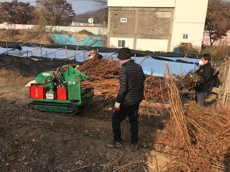 하점면_영농부산물_처리_지원