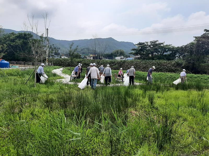 화도면_참전유공자회_환경정화_활동