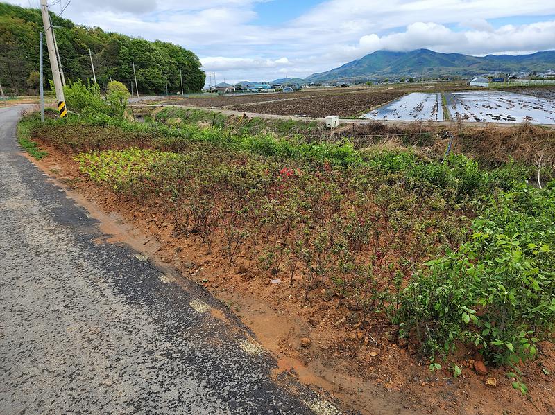 화도면_화단_조성