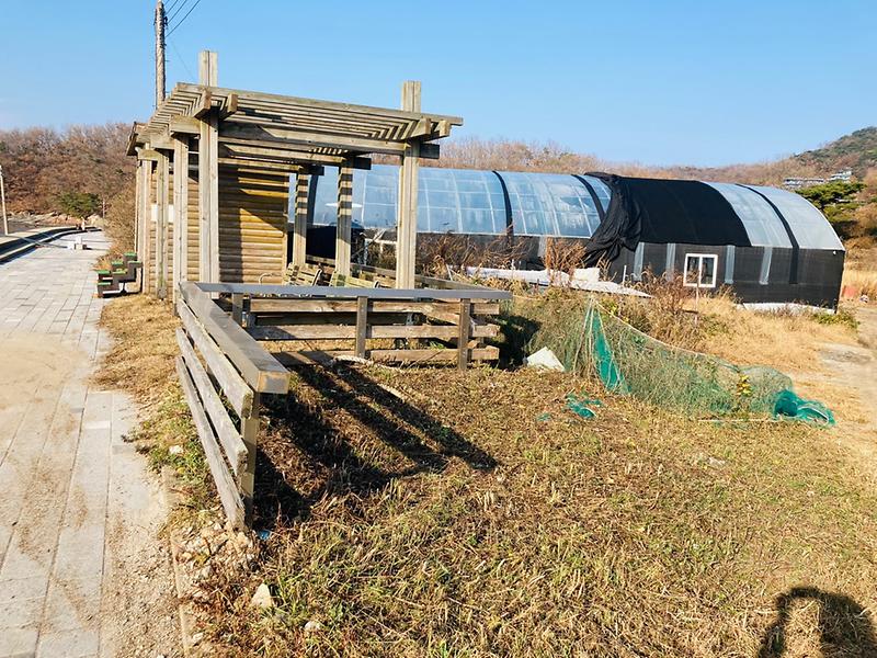 화도면_이장단_제초작업