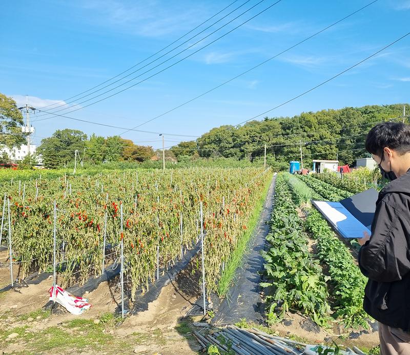 화도면_농지_점검_사진