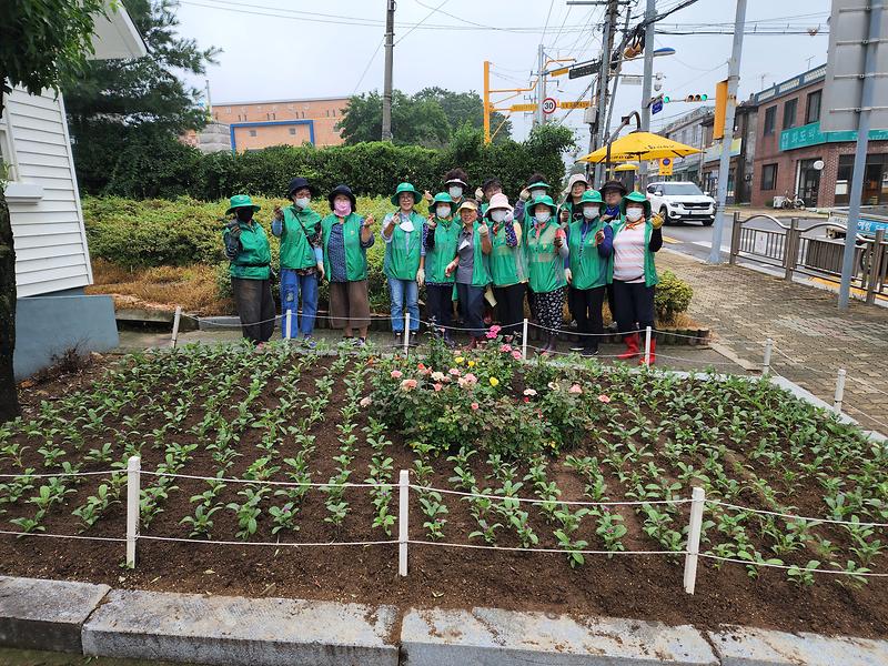 화도면_새마을부녀회_환경정비