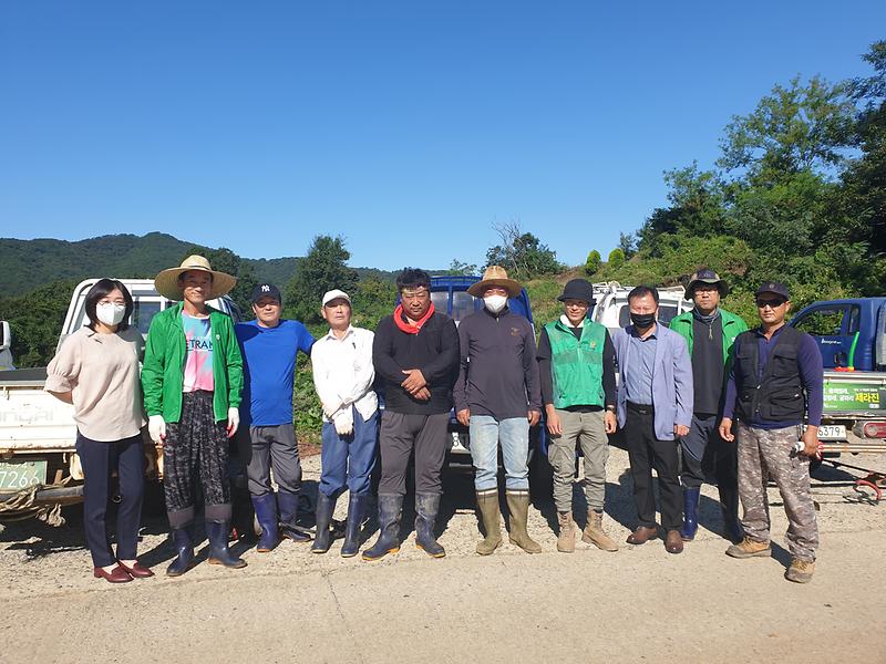 화도면_새마을지도자회_벌초작업