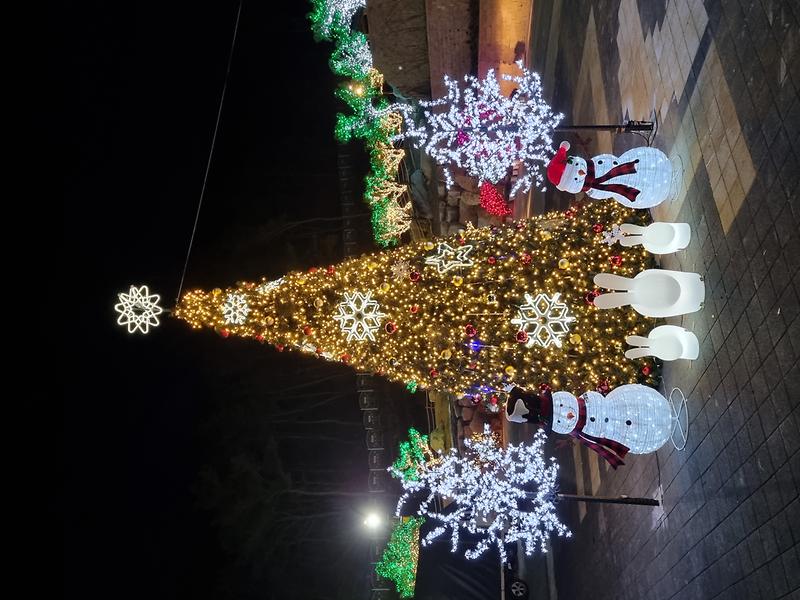 정원관리사업소_화개정원_트리_(2)