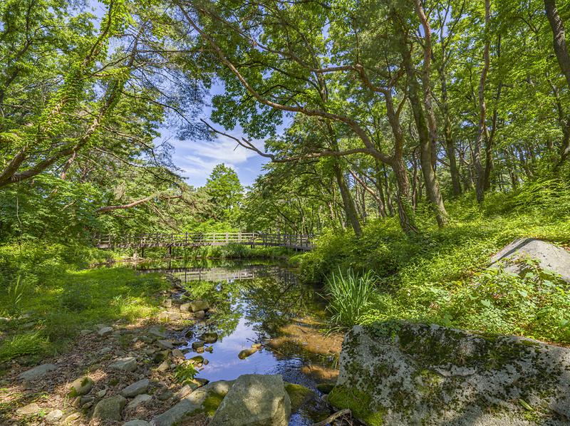 문화관광과_치유의_숲_이동다리