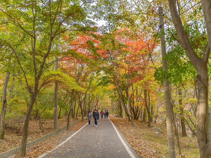 문화관광과_마니산_입구