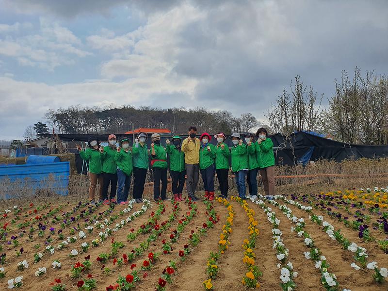 내가면_부녀회_화단정비