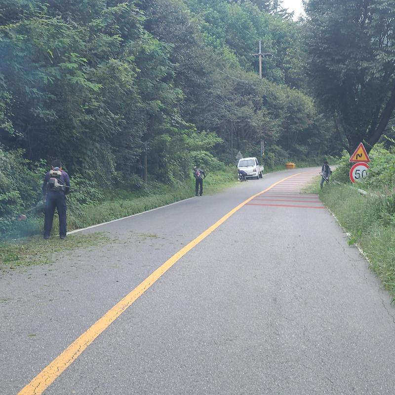 내가면_이장단_제초작업_실시