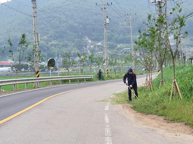 내가면_농촌지도자회_제초