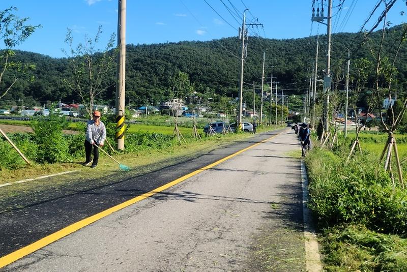 내가면_농촌지도자회_제초작업