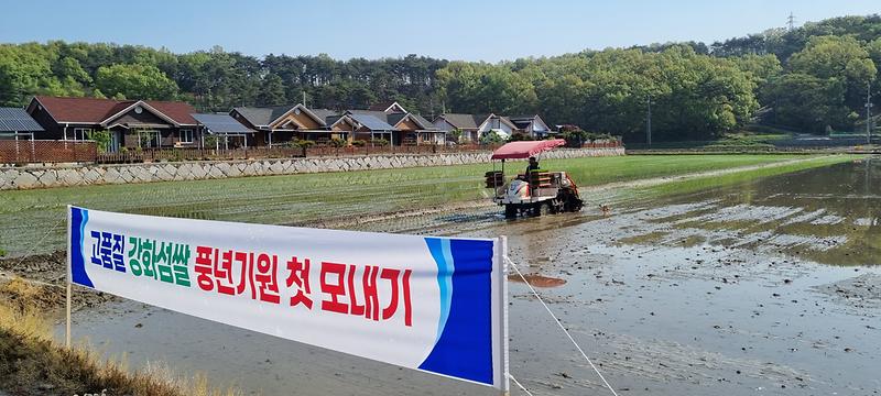 농업기술센터_첫_모내기_(1)