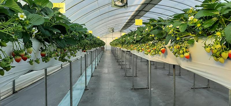 농업기술센터_첨단농업보급_(1)