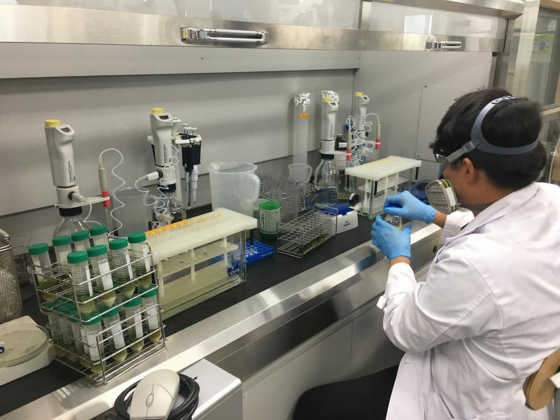 농업기술센터_잔류농약분석