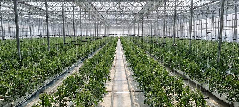 농업기술센터_미래농업_시설원예_(2)