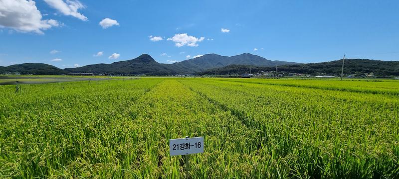 농업기술센터-나들미