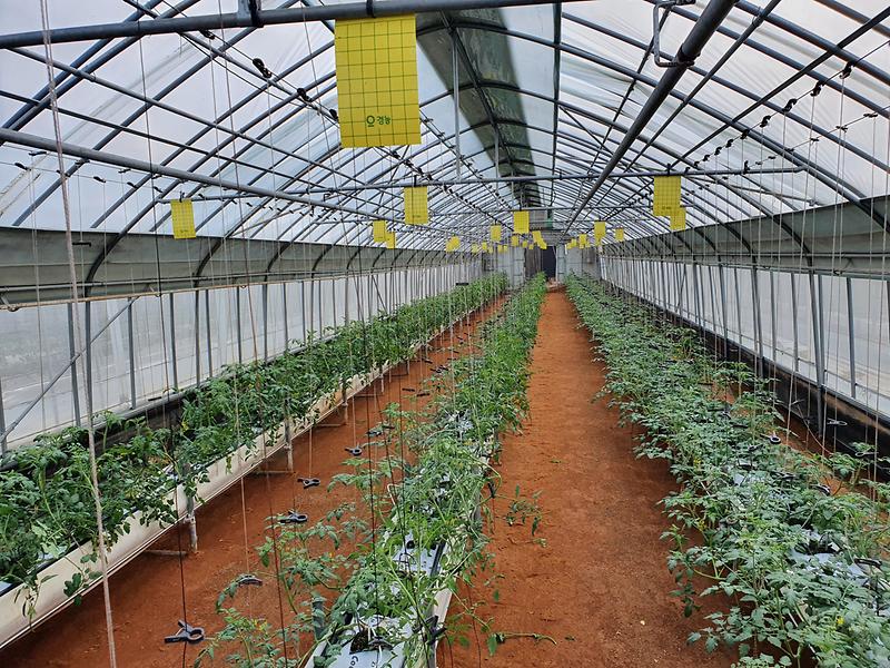 농업기술센터_신기술_보급_근권(국부)난방_사진