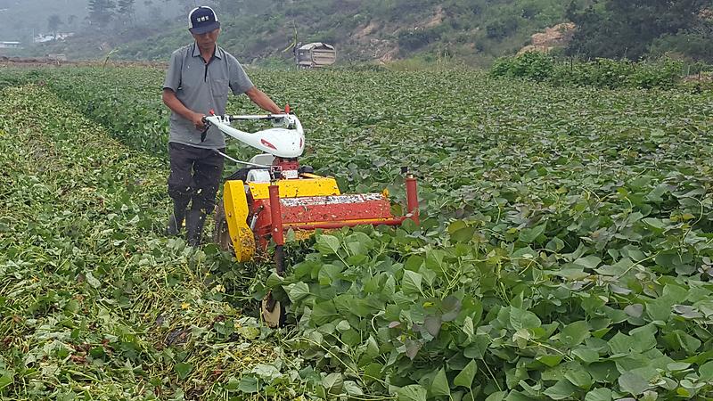 농업기술센터_소형농기계_고구마순제거기