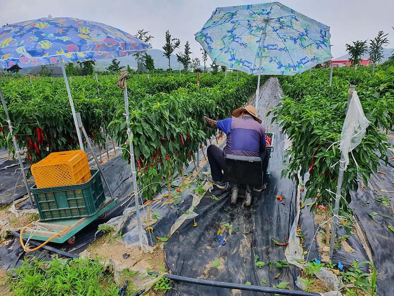 농작업_온열질환_주의